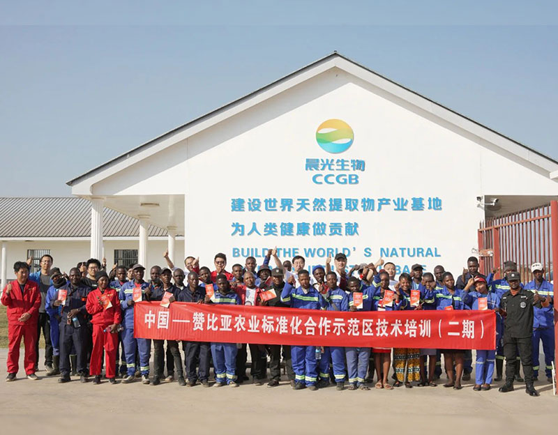 【邯郸日报】在中非合作中彰显中国标准：中赞农业标准化合作示范区项目在晨光生物赞比亚原料基地落地显效