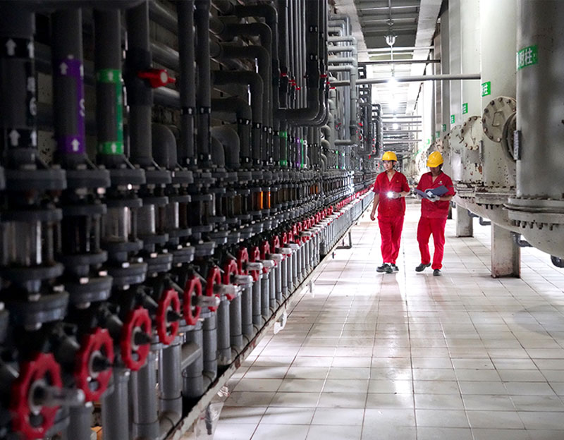 【邯郸日报】“盐碱地”崛起“人才绿洲”——晨光生物“引育留用”赋能高质量发展