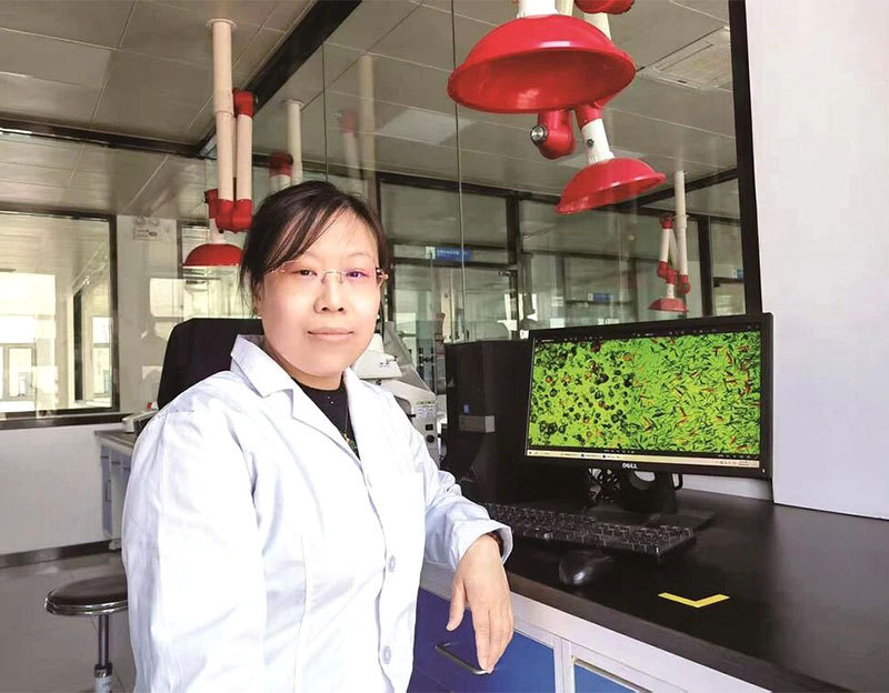 【邯郸晚报】徐美利：十年磨一剑，酿就“甜蜜事业”